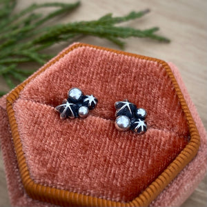 Starry Cluster Stud Earrings {B}