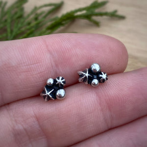 Starry Cluster Stud Earrings {B}